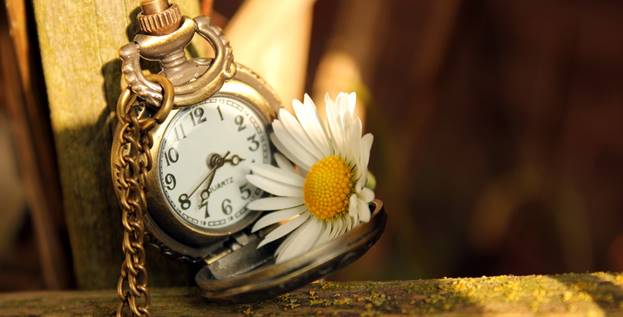 http://7-themes.com/data_images/out/51/6944749-clock-time-daisy-flower.jpg